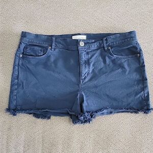 LOFT Ann Taylor Made and Loved Blue Distressed Color Jean Shorts - Size 12/31